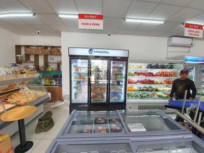 7 mẫu tủ đông trưng bày thực phẩm đông lạnh