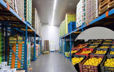 Đơn vị chuyên cung cấp thực phẩm đông lạnh tại Đắk Lắk