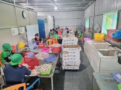 Nhà cung cấp thực phẩm đông lạnh nhập khẩu chất lượng tại Bình Dương