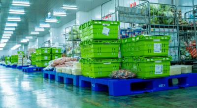 Nhà cung cấp thực phẩm đông lạnh nhập khẩu tại Hải Phòng