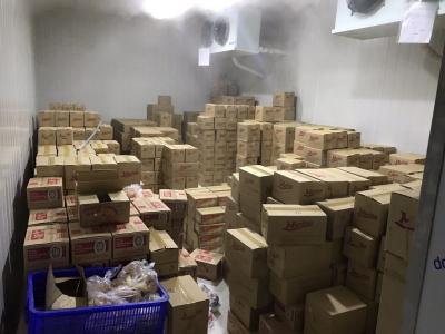 Nhà Cung Cấp Thực Phẩm Đông Lạnh Tại An Giang