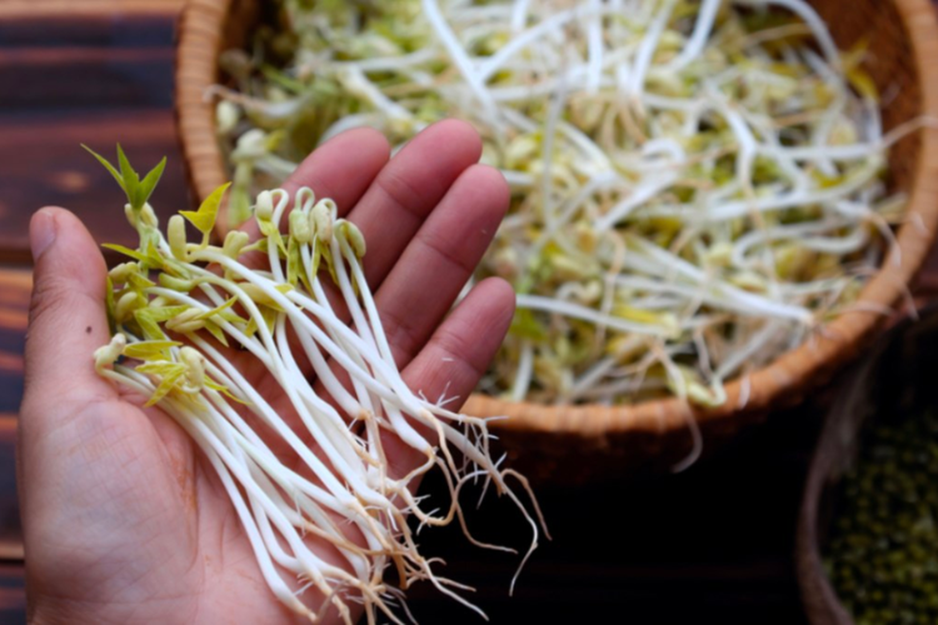 100g giá bao nhiêu calo? Những lợi ích bất ngờ khi ăn giá đỗ